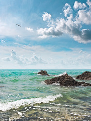 Similar image 551689