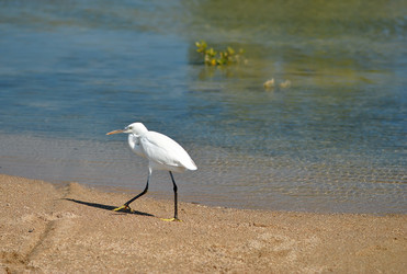 Similar image 551706