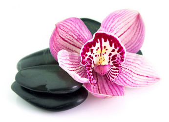 Similar image 551762