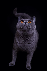 Similar image 551904