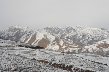 Similar image 551978