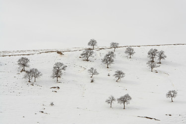 Similar image 551982