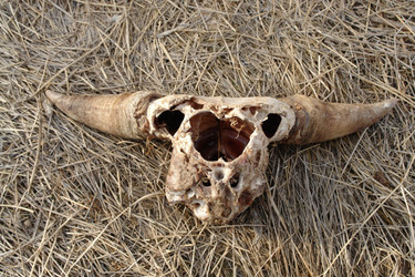 Similar image 551989