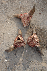 Similar image 551991