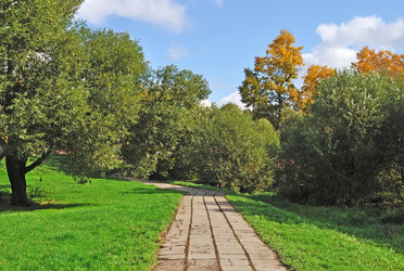 Similar image 552036