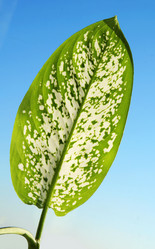 Similar image 552329