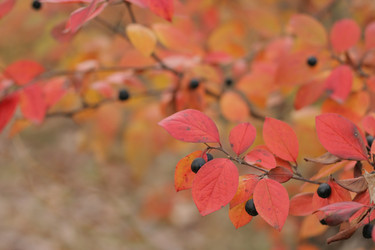 Similar image 552509