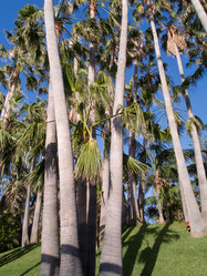 Similar image 552646