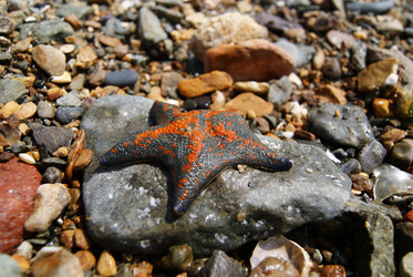 Similar image 552752