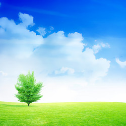 Similar image 552926