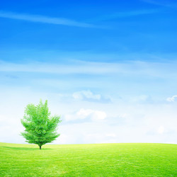 Similar image 552927