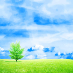 Similar image 552928