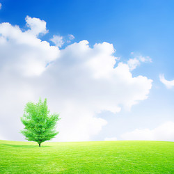 Similar image 552930