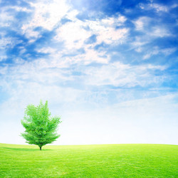 Similar image 552931