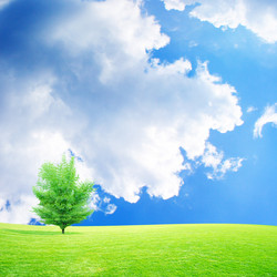 Similar image 552932