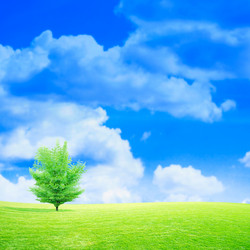 Similar image 552936