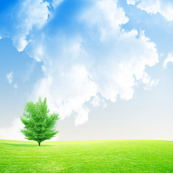 Similar image 552937