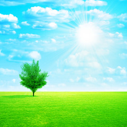 Similar image 552938