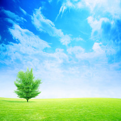 Similar image 552941