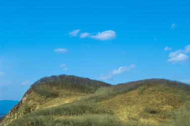 Similar image 552978