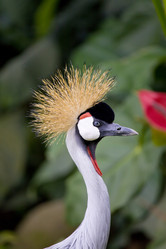 Similar image 553034