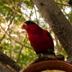 Similar image 553070