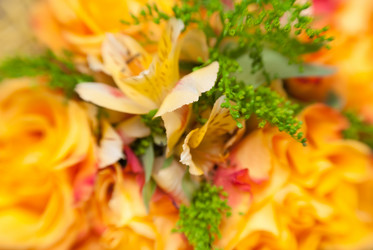 Similar image 553071