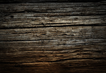 Similar image 553242