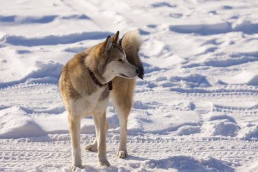 Similar image 553322