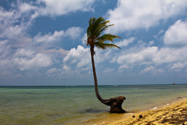 Similar image 553337