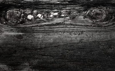 Similar image 553342