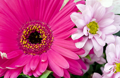 Similar image 553380