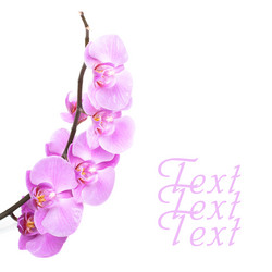 Similar image 553385