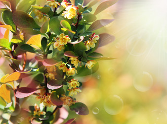 Similar image 553397