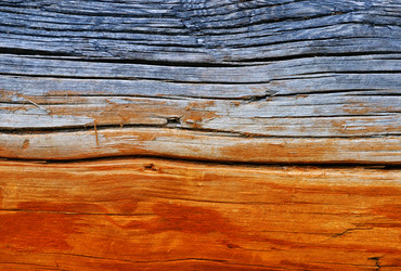 Similar image 553405