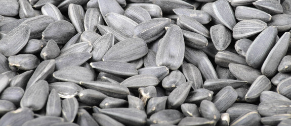 Similar image 553447