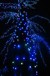 Similar image 553465