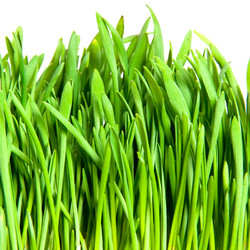 Similar image 553467