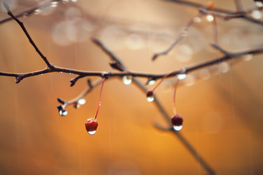 Similar image 553575