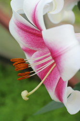 Similar image 553585