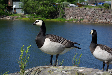 Similar image 553626