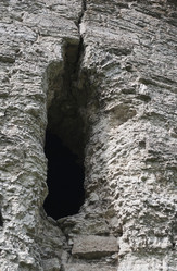 Similar image 553655