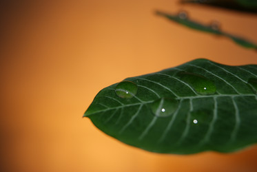 Similar image 553696