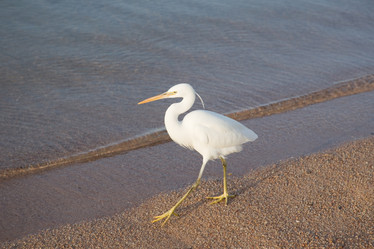 Similar image 553772