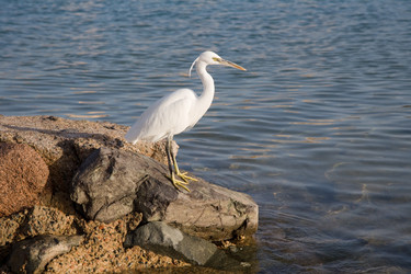 Similar image 553775