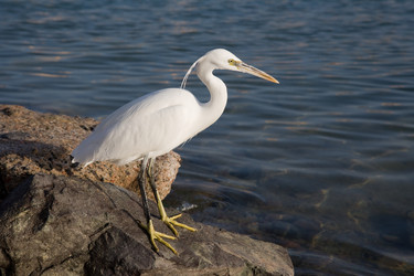 Similar image 553774