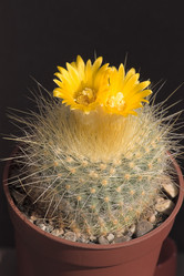 Similar image 553830