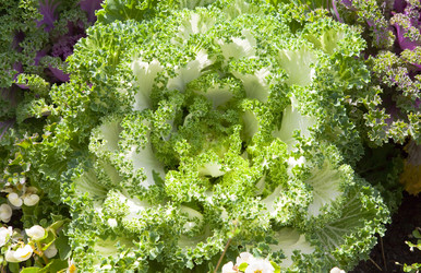 Similar image 553964