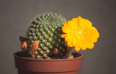 Similar image 553975