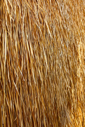 Similar image 554042